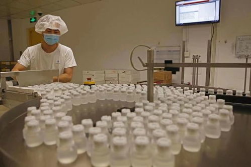 GE醫療堅定扎根中國信心，以更大規模參展第五屆進博會