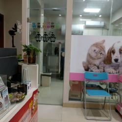 洪星1998寵物店詳細(xì)信息 電話、地址、價(jià)格、營(yíng)業(yè)時(shí)間及圖片