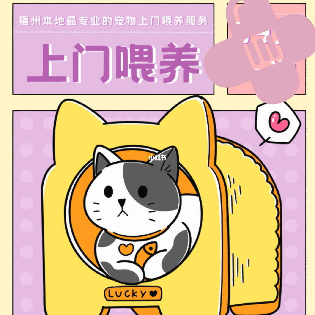 春節(jié)期間福州寵物上門喂養(yǎng)服務(wù)接單忙，用心守護(hù)毛孩子過年團(tuán)圓