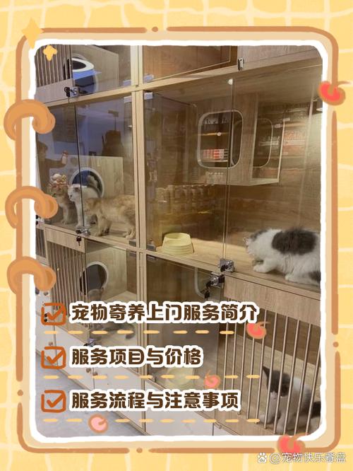 寵物寄養(yǎng)新趨勢(shì) 上門服務(wù)如何讓愛寵倍感安心